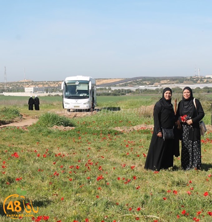 re7la janob (58).JPG